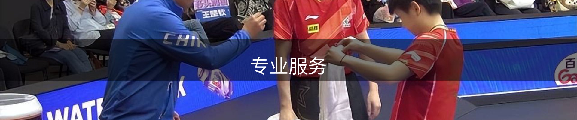 专业服务