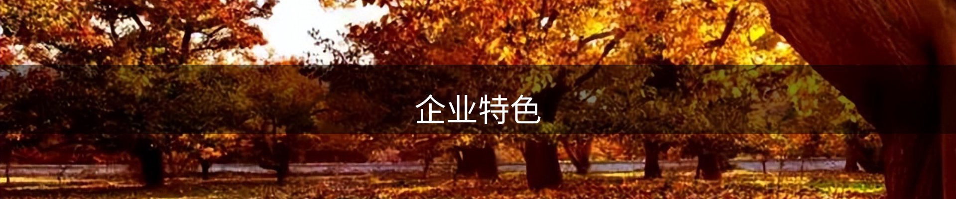 企业特色